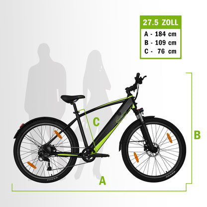 [Gebraucht] E-Racing Mountainbike R8 Flex III