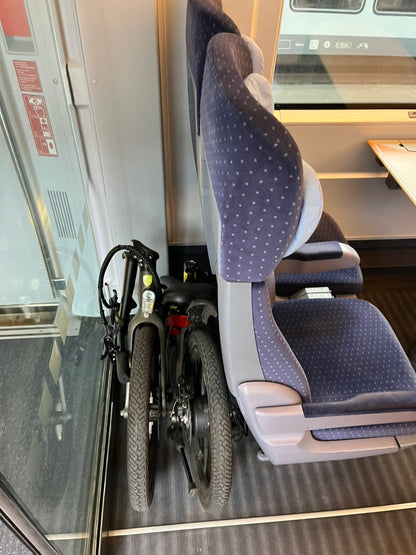 [Gebraucht] E-Faltrad F11 MagPuma
