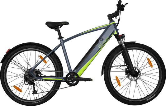 [Gebraucht] E-Racing Mountainbike R8 Flex III
