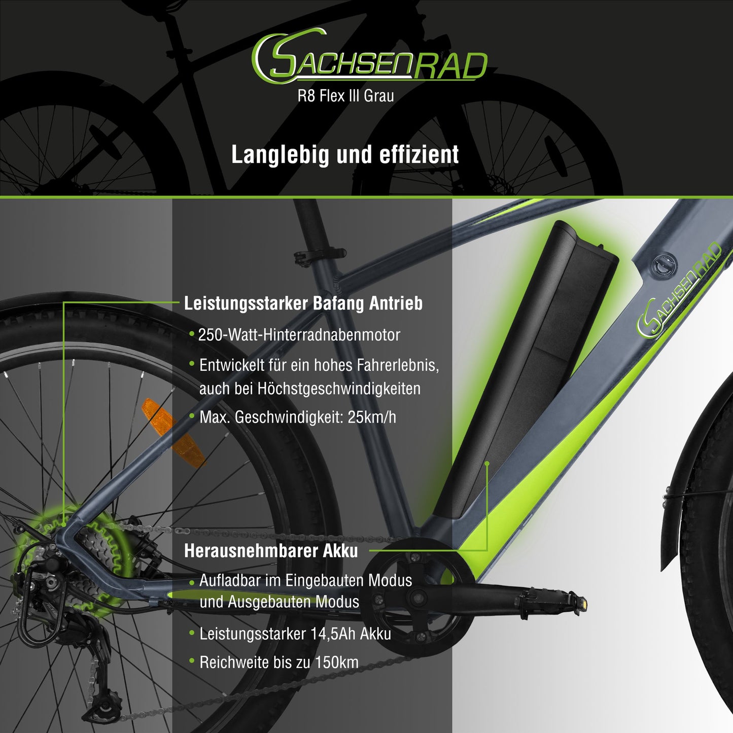 [Gebraucht] E-Racing Mountainbike R8 Flex III