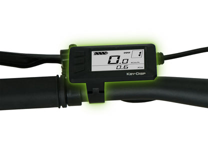 [Gebraucht] E-Racing Mountainbike R8 Flex III