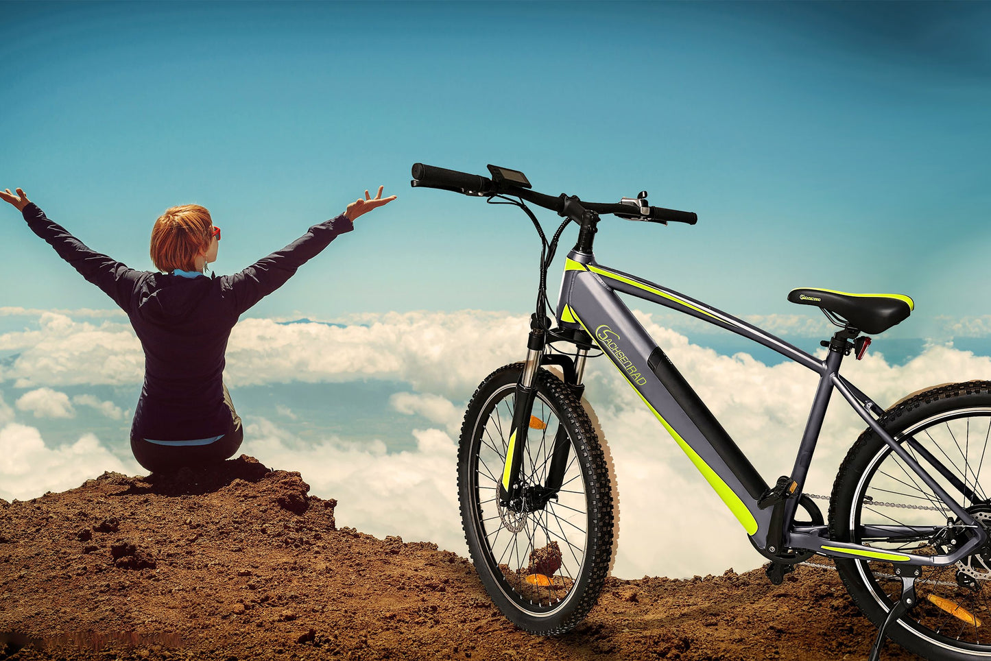 [Gebraucht] E-Racing Mountainbike R8 Flex III
