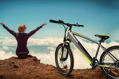 [Gebraucht] E-Racing Mountainbike R8 Flex III