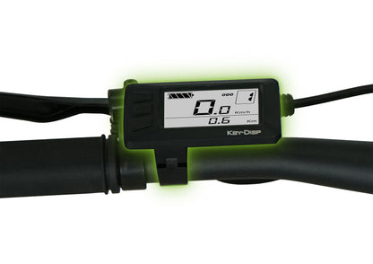 [Gebraucht] E-Racing Mountainbike R8 Flex III