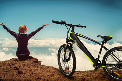 [Gebraucht] E-Racing Mountainbike R8 Flex III