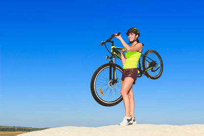 [Gebraucht] E-Racing Mountainbike R8 Flex III