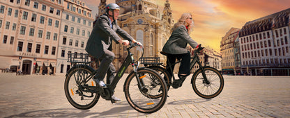 Gepäckträger-Korb für C5 C5R S8 C3T