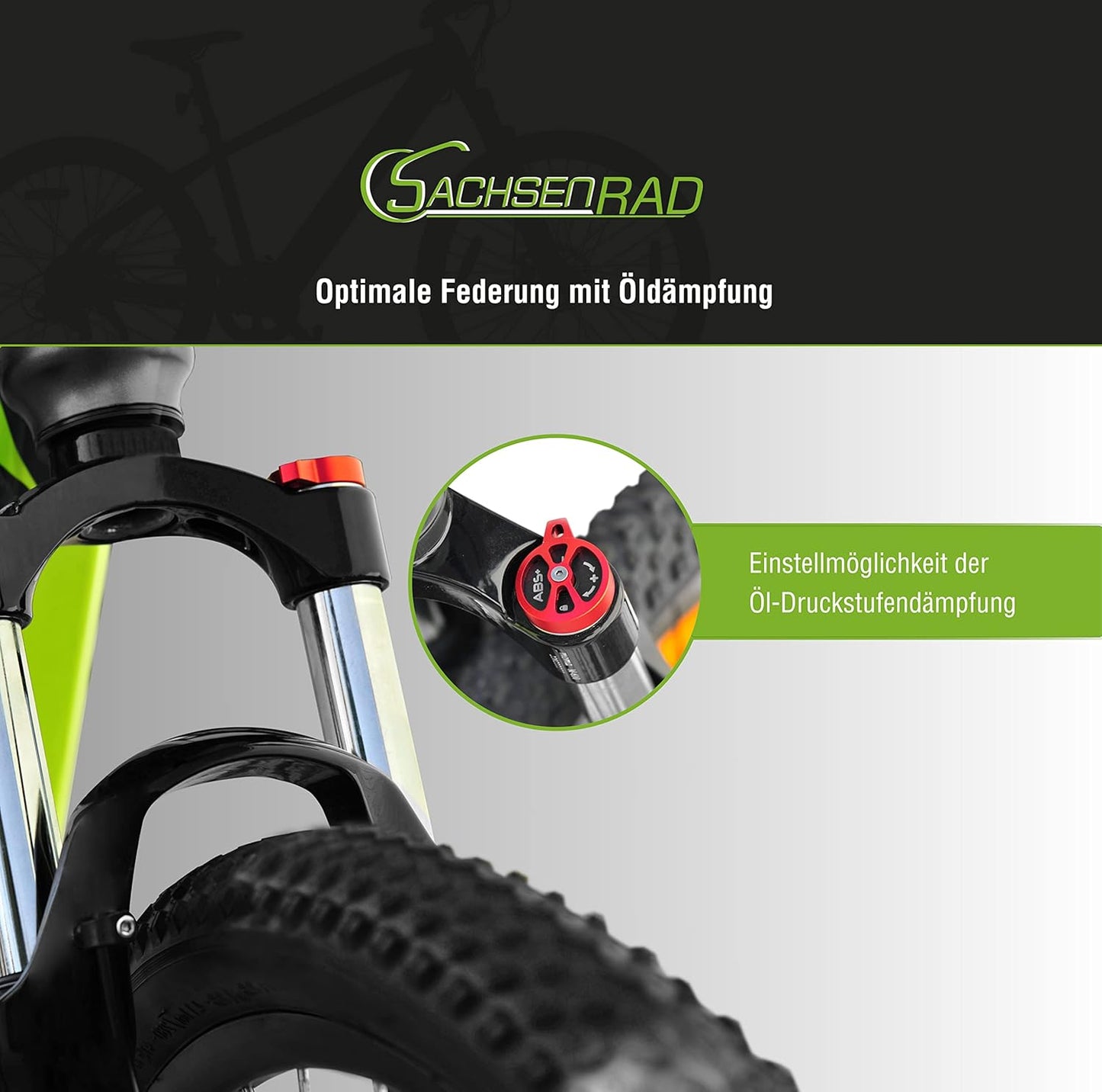 E-Racing Mountain Bike R8 Ranger