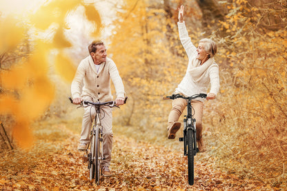 [Gebraucht] E-SUV CityBike C5 Centro mit Diebstahlsicherung