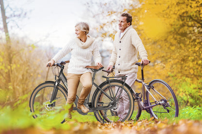 [Gebraucht] E-SUV CityBike C5 Centro mit Diebstahlsicherung