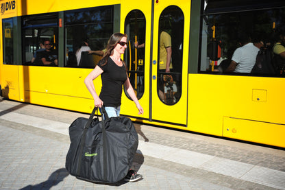 [Gebraucht] E-Faltrad F11 Pro MagPuma mit Transporttasche und Rückspiegel