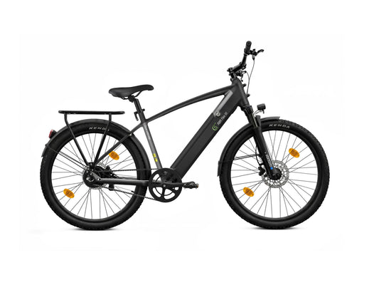 E-Trekking Mountainbike R8R Flex III mit Riemenantrieb