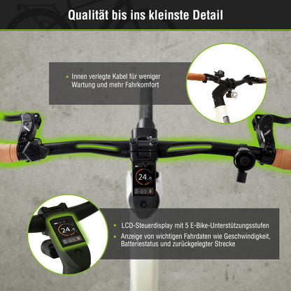 [Gebraucht] Urban City E-Bike C3M Roma II mit KI-Unterstützung