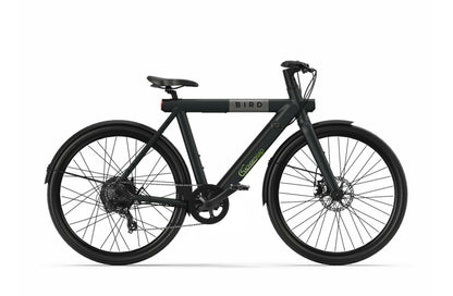 SachsenRAD xBird E-CityBIKE C6M Connect affordable e-bike