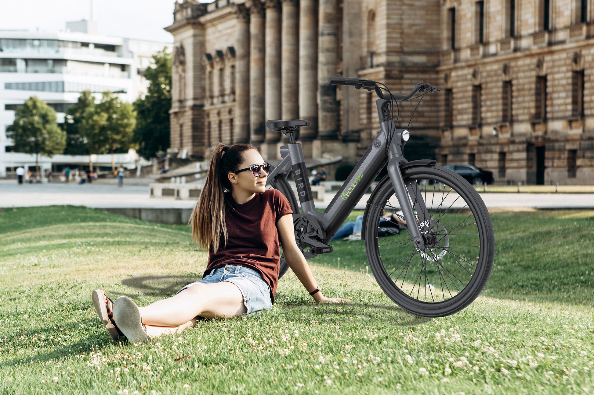 SachsenRAD xBird E-CityBIKE C6F Connect günstiges E-Bike