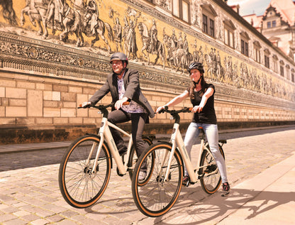 Urban City E-Bike C3M Roma II with AI drive support