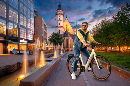 [B-Ware] Urban City E-Bike C3V Roma