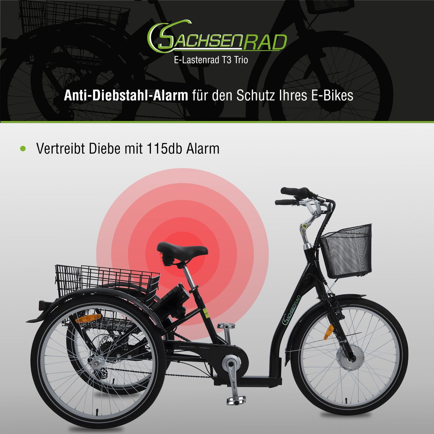 [Gebraucht] T3A Trio mit Alarmanlage