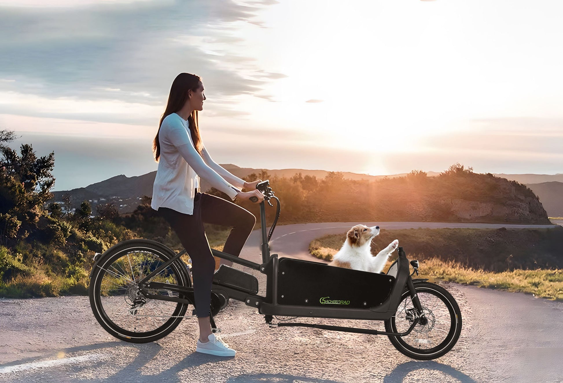 Echtes Lastentier, das Lastenrad E-Bike T10 Caribou. Mit geräumiger Transportbox, mit zusätzlicher Bremssperre gegen das Wegrollen beim Aus- und Einsteigen bzw. Ein- und Ausladen. Das E-Lastenrad besitzt eine optionale Regenabdeckung, kräftigen 48V-Motor