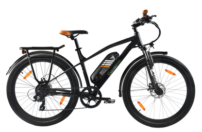 [Gebraucht] E-Racing Mountainbike R6T Neo