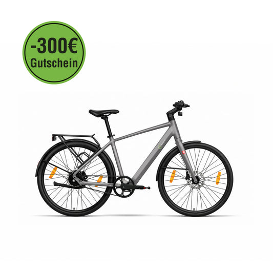 Urban City E-Bike C3M Roma II, grau, mit KI-Unterstützung