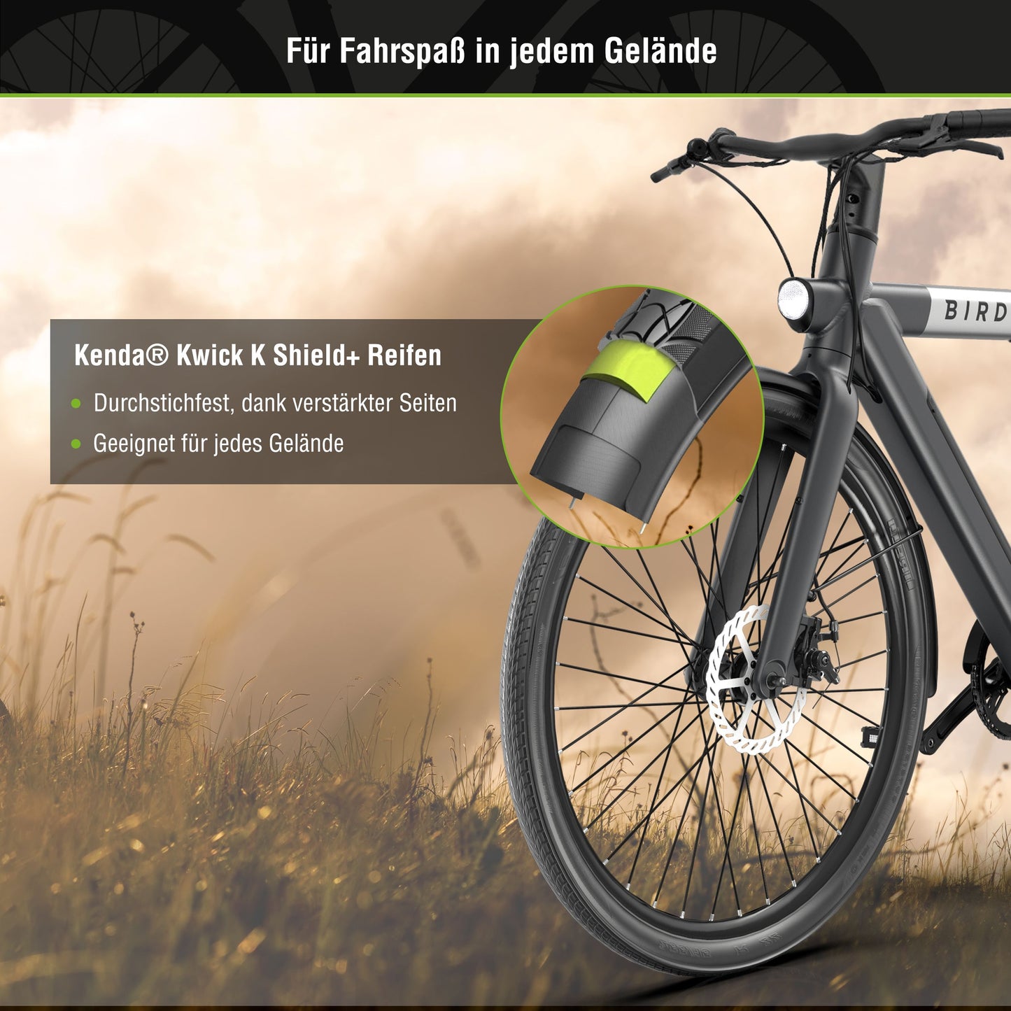 xBird C6R Connect Urban E-City-Bike – mit Riemenantrieb