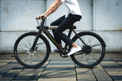 SachsenRAD xBird E-Citybike C6R Connect günstiges E-Bike