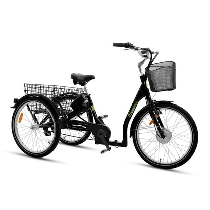[Gebraucht] T3A Trio II faltbar mit Alarmanlage