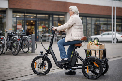 E-Lastenrad  T6S Comfort Air