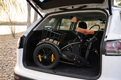 E-Lastenrad  T6S Comfort Air