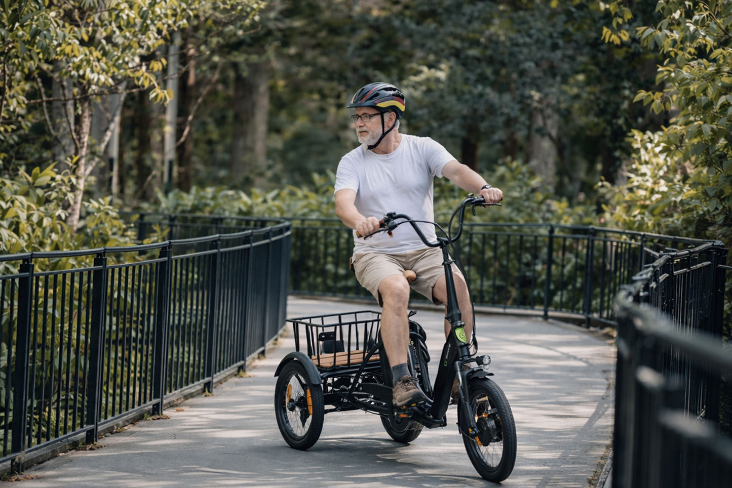 E-Lastenrad  T6S Comfort Air