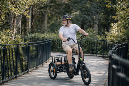 E-Lastenrad  T6S Comfort Air