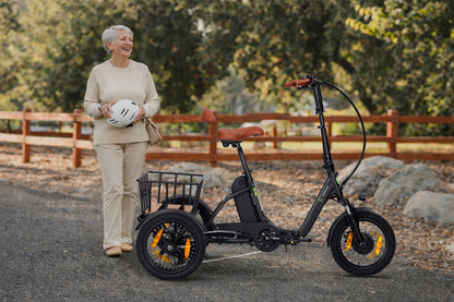 E-Lastenrad  T6S Comfort Air