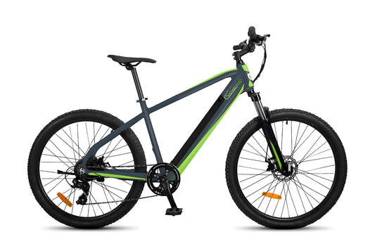 E-Racing Mountain Bike R8 Ranger